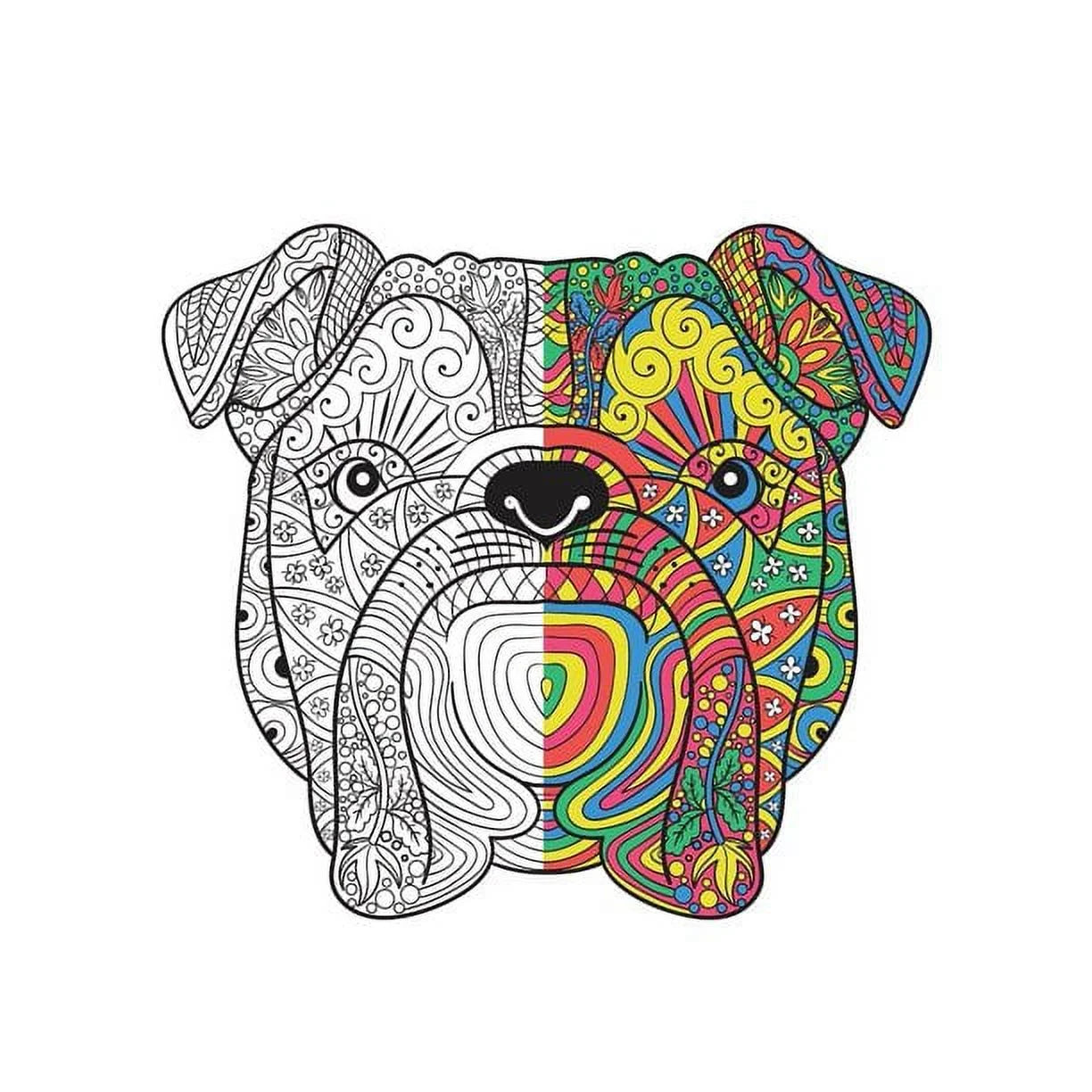 Adult Coloring Book (Paperback)