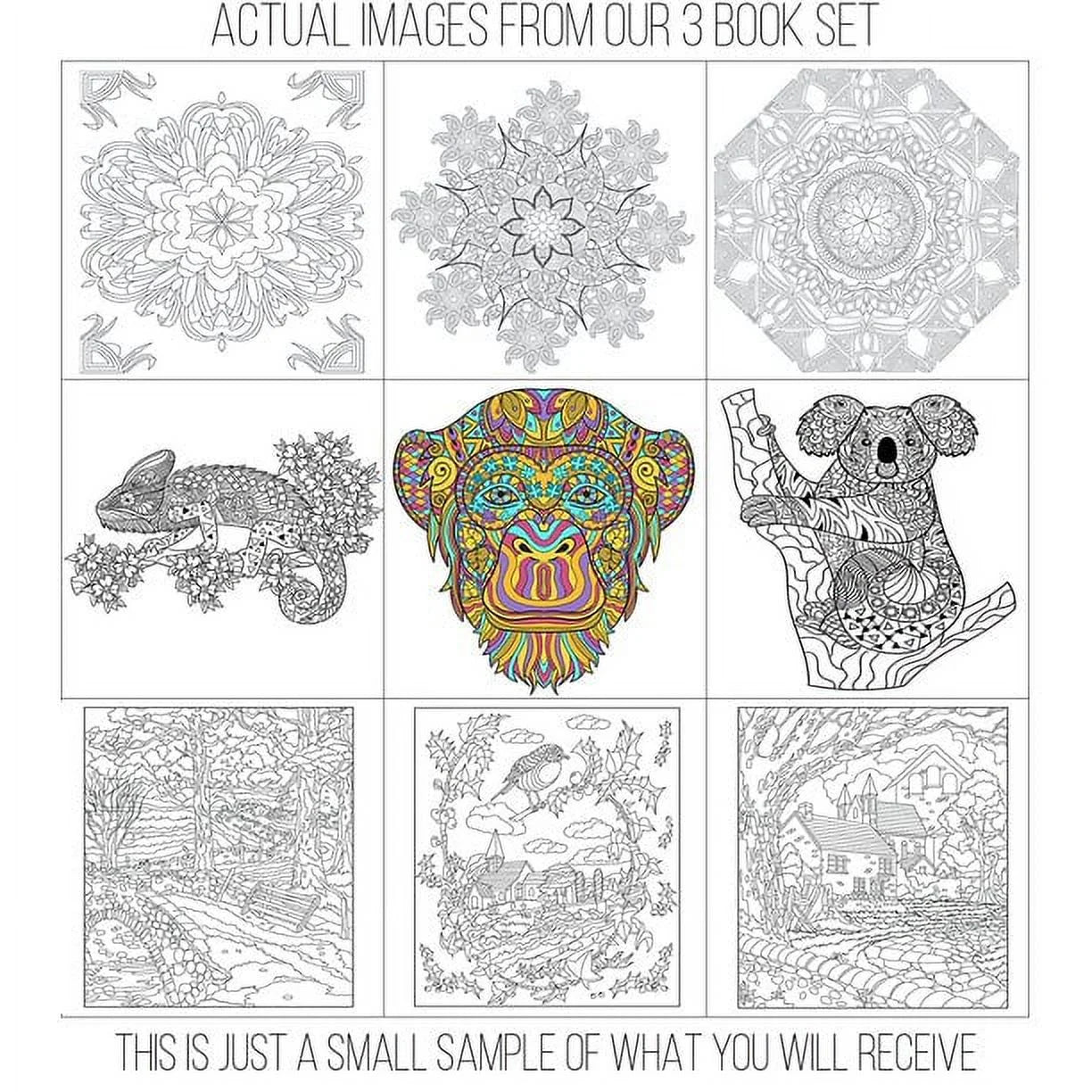 Adult Coloring Book (Paperback)